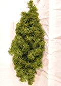 2' Sequoia Swag