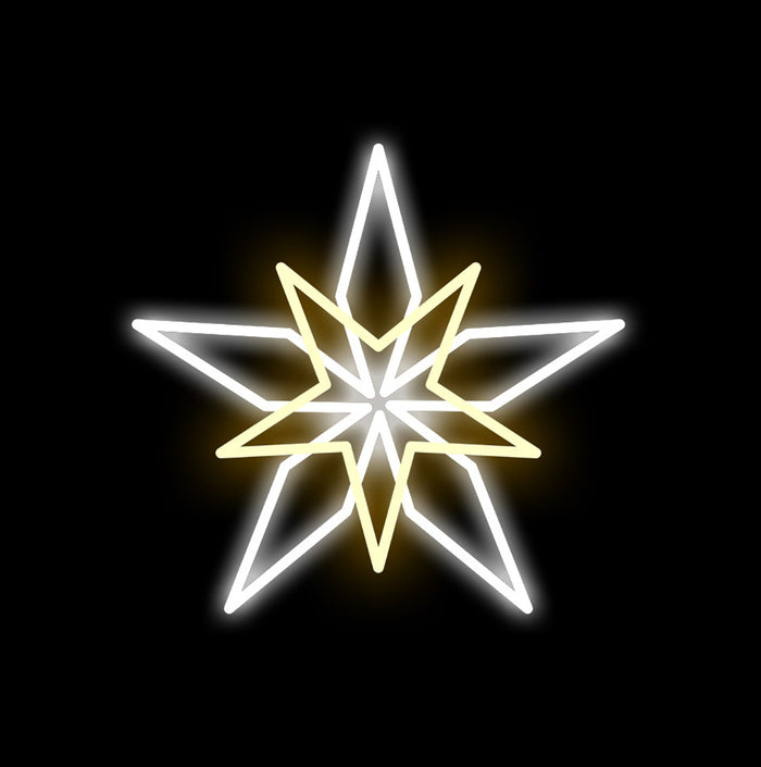 20" Warm White and Pure White LED Double Star Ground Mount