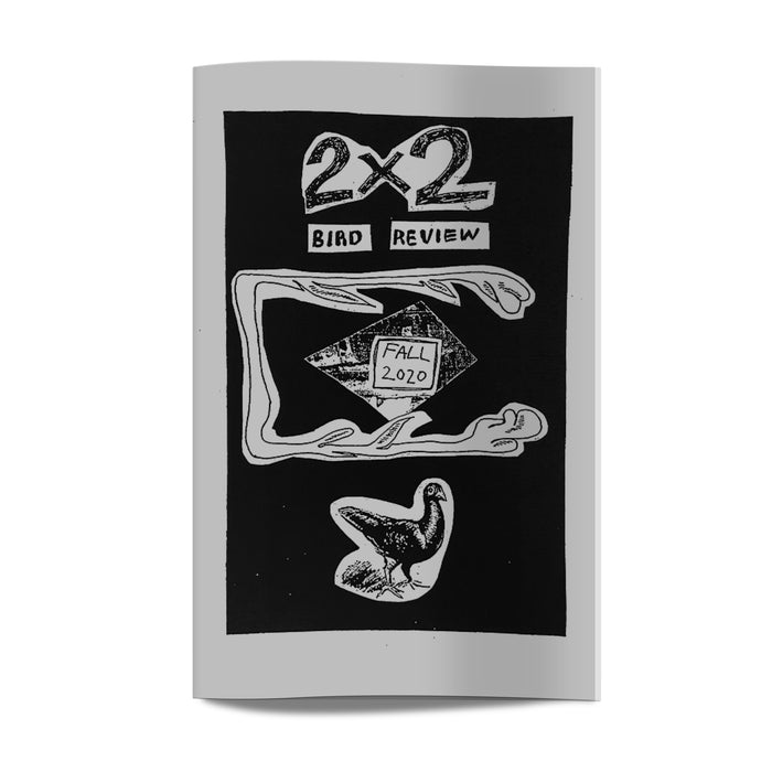 2×2 Bird Review