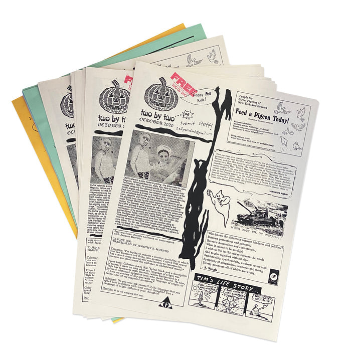 2×2 Bird Review