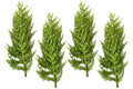 4 Pack of 22" Green Fern Picks with Glitter Enhancements