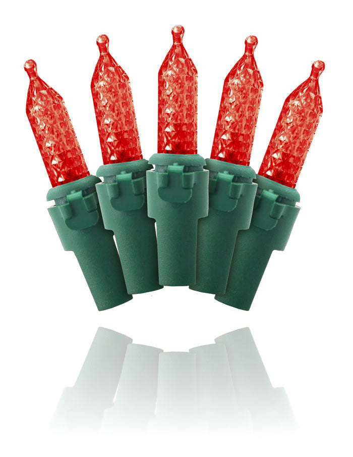 4'x6' M5 Red LED Net Lights with Green Wire