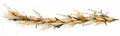 5' Cream Garland