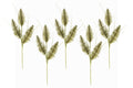 5 Pack of 30" Gold 3 Branch Picks with Glitter Enhancements