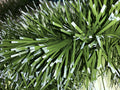 6" Matte Light Green Natural Snow Tipped PVC Garland 20' Sections