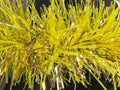 6" Yellow and Gold PVC/Mylar Garland 20' Sections