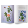 A Weed is a Flower Book