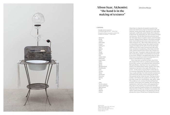Alison Saar: Of Aether and Earthe Hardcover