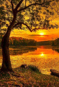 Autumn Evening & Setting Sun Diamond Painting
