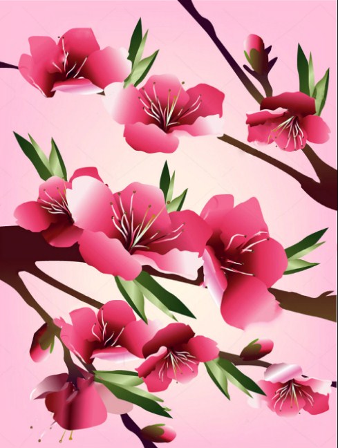 Beautiful Cherry Blossoms Paint by Diamonds