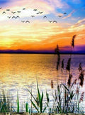 Birds Coming Back to Homes Diamond Painting
