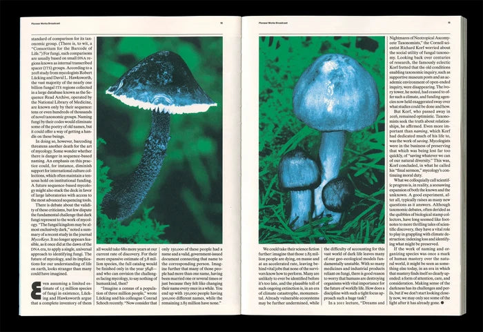 Broadcast Issue 02