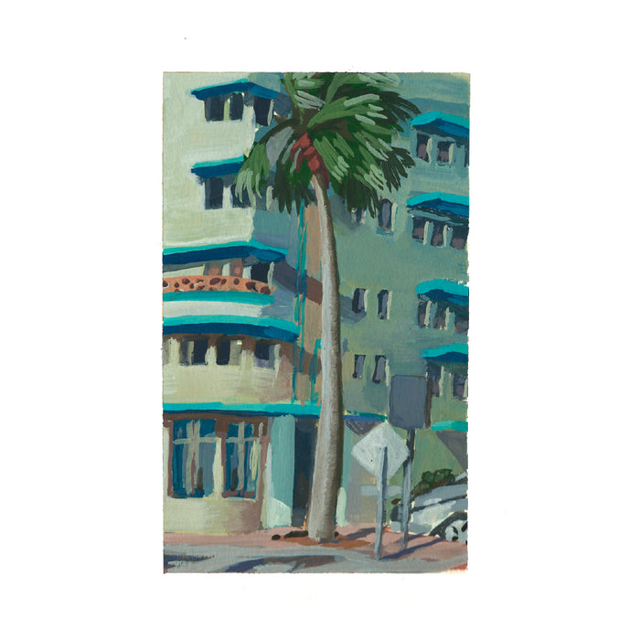 Broadmore Palm