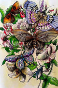 Butterfly Art Diamond Painting