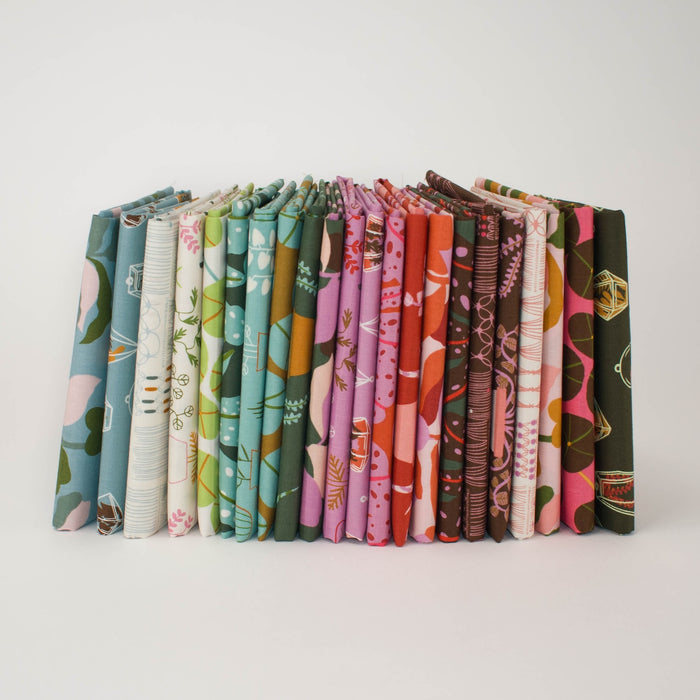 Calathea Bundle | 22 Prints