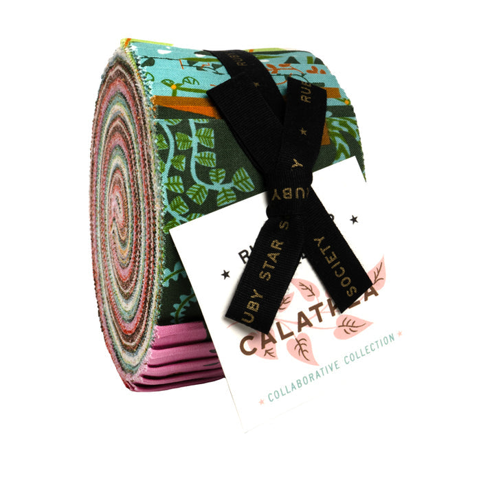 Calathea | Jelly Roll