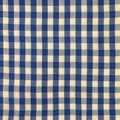 A close-up of a blue and off-white gingham checkered fabric pattern.