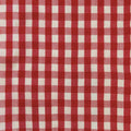 Red and white gingham checkered fabric pattern filling the frame.