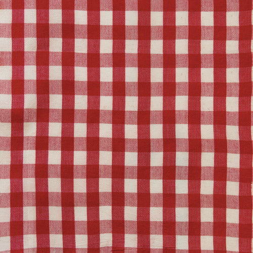 Red and white gingham checkered fabric pattern filling the frame.