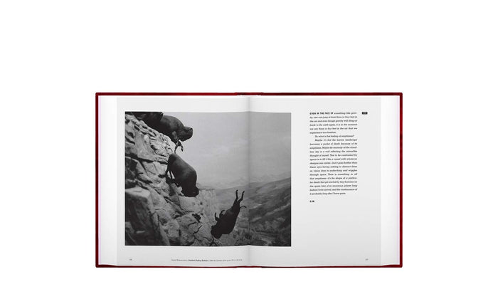David Wojnarowicz: Brush Fires in the Social Landscape Twentieth Anniversary Edition