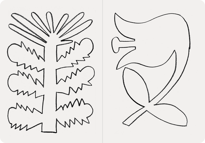 Flowers, a colouring book by Felix Rank