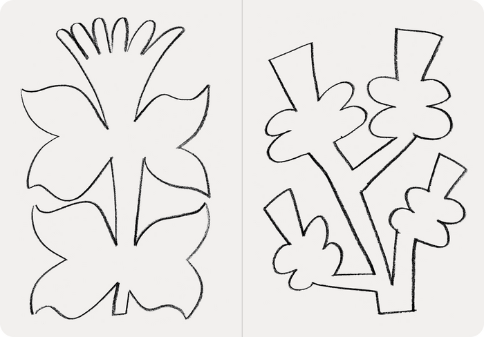 Flowers, a colouring book by Felix Rank