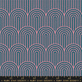Hump Day in Galaxy | Geometry CANVAS