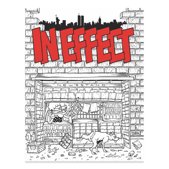 IN EFFECT Hardcore Fanzine Anthology