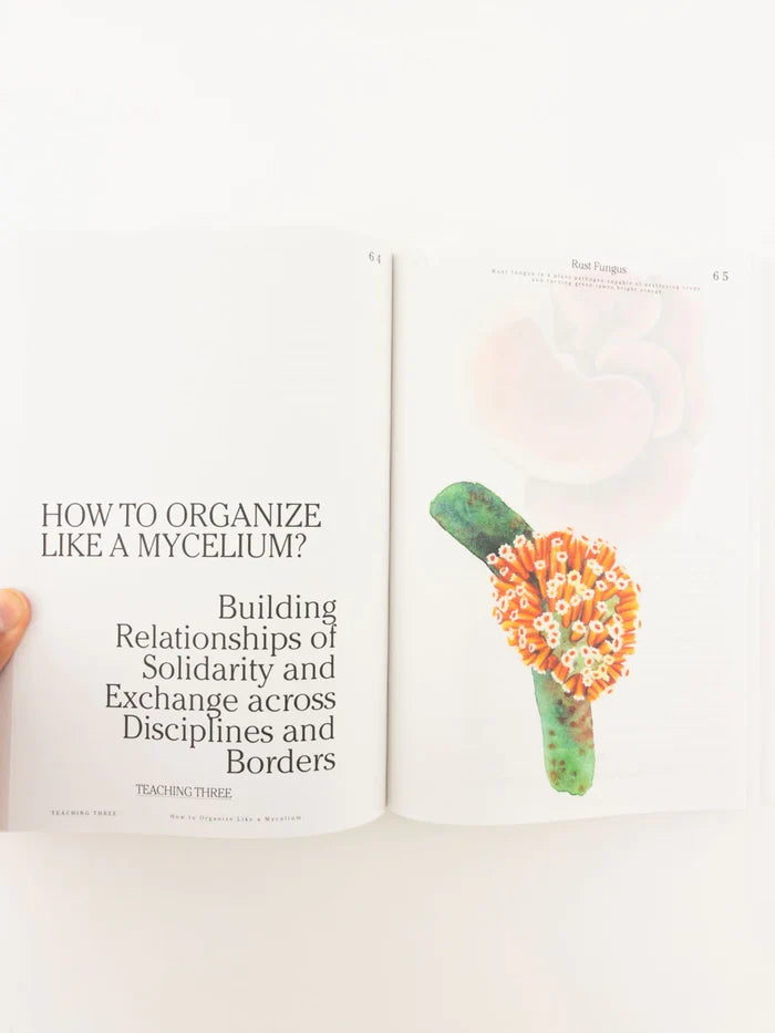 Let's Become Fungal! By Yasmine Ostendorf-Rodríguez. Illustrations by Rommy González.
