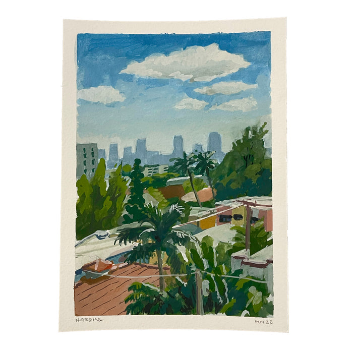 Miami from Harding