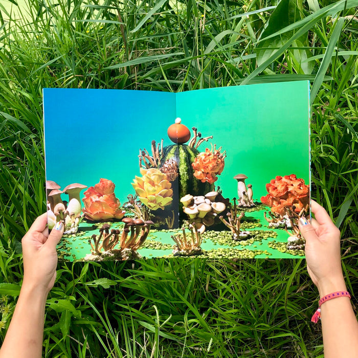 Mushrooms and Friends 1 Phyllis Ma