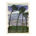 North Beach @ 77