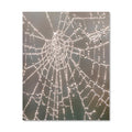 NOTHING LEFT BUT HEALING - Pomegrante Press