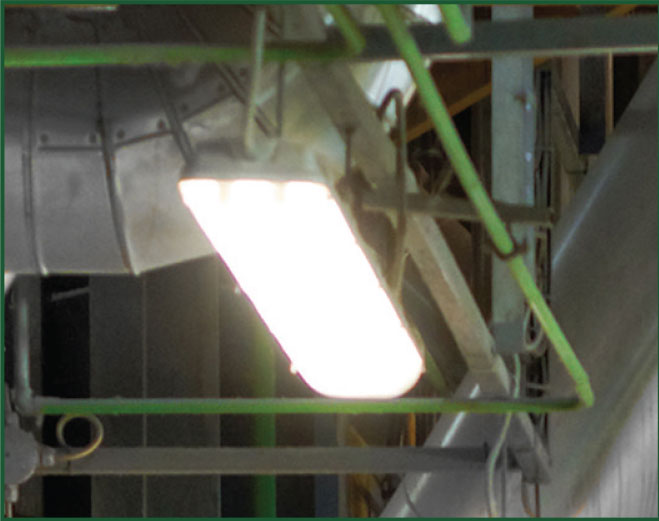 NSF certified - LED Tube Bulb - T8 4ft -50GT