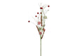 Red, Green, and White Candy Pick