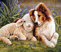 Sheep & Dog Diamond Painting
