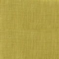 Solid green fabric texture swatch