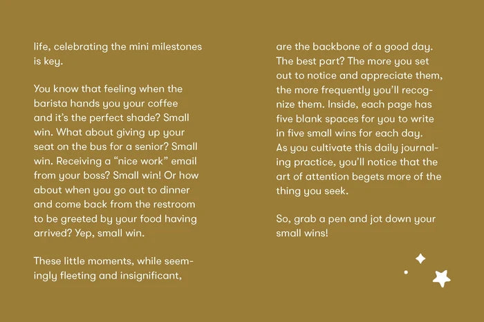 Small Wins notebook