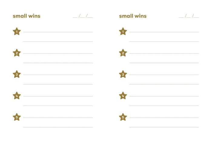 Small Wins notebook