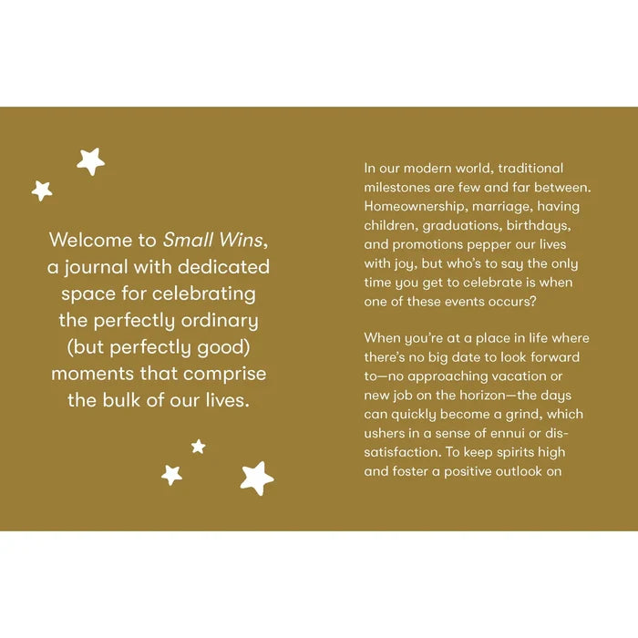 Small Wins notebook