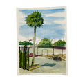 Sport Field Palm