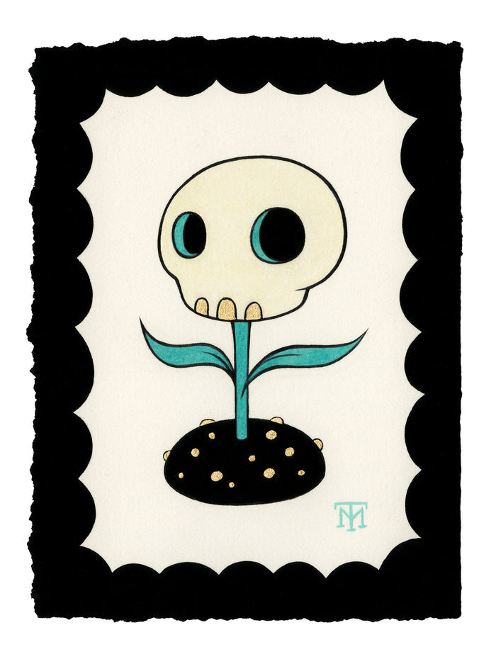 Stellar Dreamer : Skull Flower