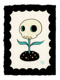 Stellar Dreamer : Skull Flower