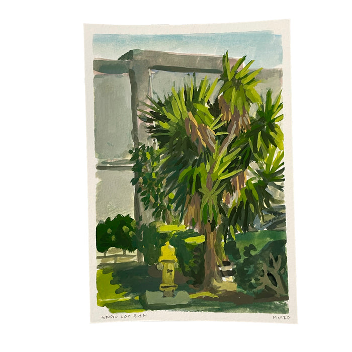 Studio Bush