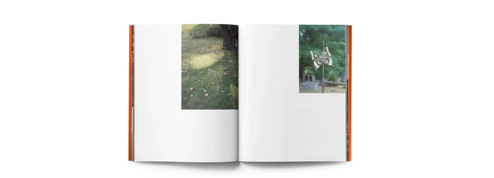 Summer of Something Special Vol. IV (Book)