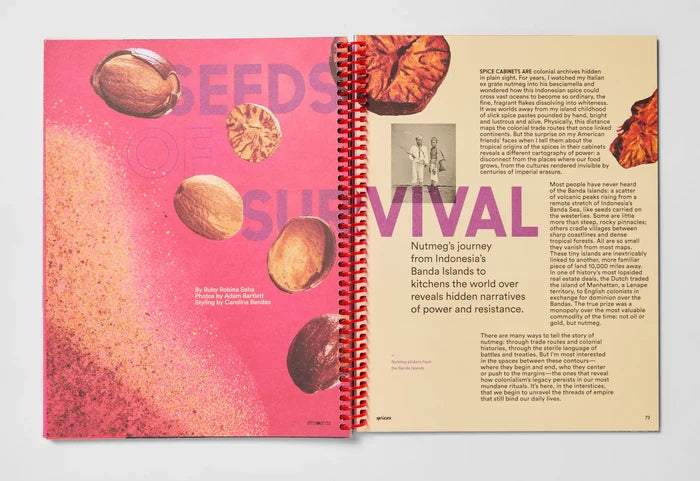 Synonym Issue 3: Spices
