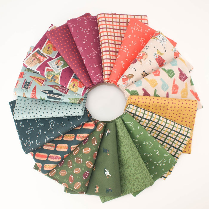 A circular arrangement of multiple fabric swatches with different patterns featuring cartoon dogs in football gear, football motifs, and sports-themed illustrations, and colors, displayed on a clean white background.