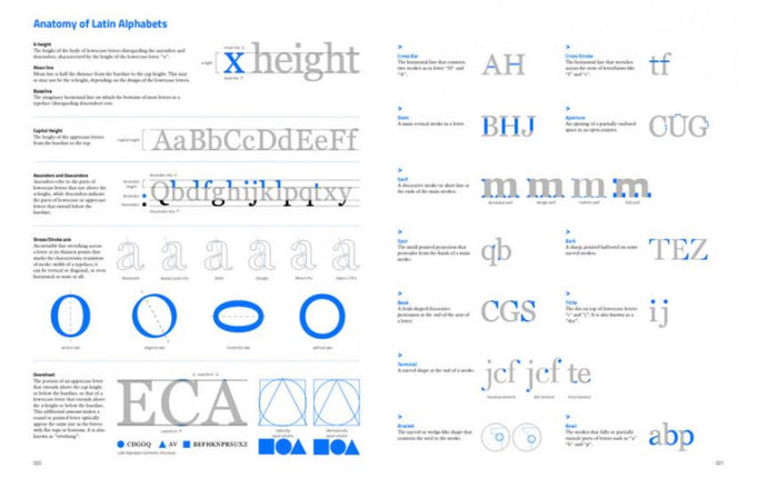 Typography Now