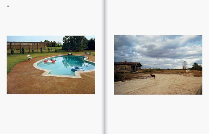 William Eggleston: The Last Dyes by William Eggleston