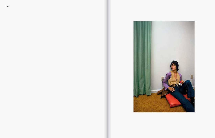 William Eggleston: The Last Dyes by William Eggleston